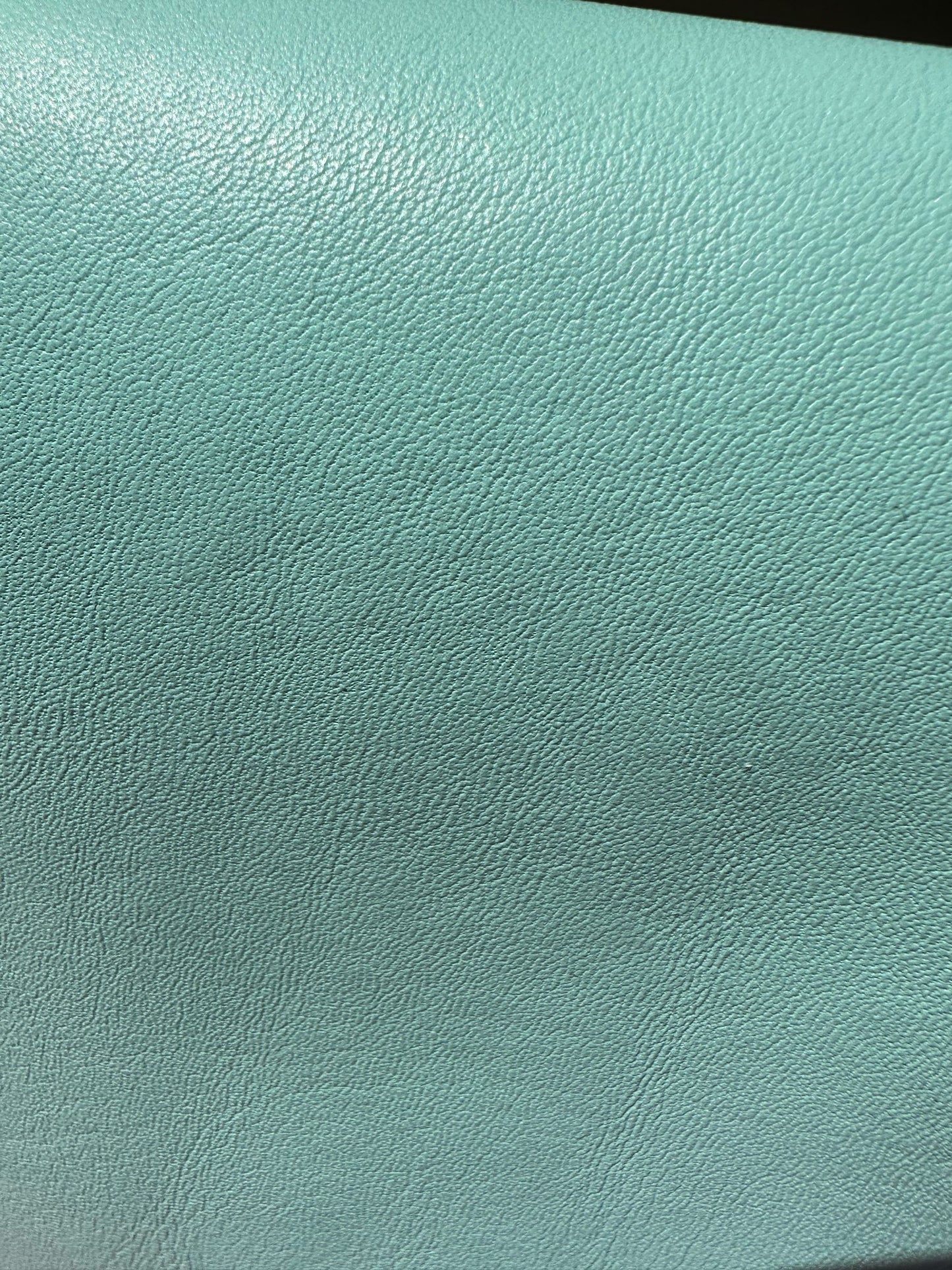 Sheep Leather Nappa